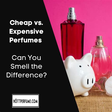 expensive perfume vs cheap.